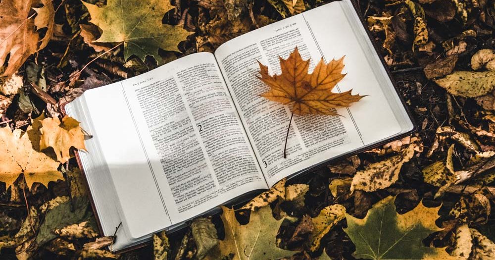 Freien Willen - holy-bible-on-top-of-fallen-autumn-leaves